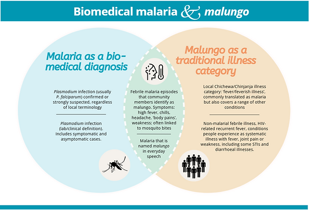 Conceptual relationship between the illness category malungo and biomedical malaria in local languages in Malawi. (Kaur et al. 2026)